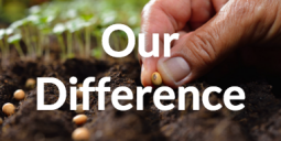 Hemp Our Difference - DO NOT Purchase - Read & View Only
